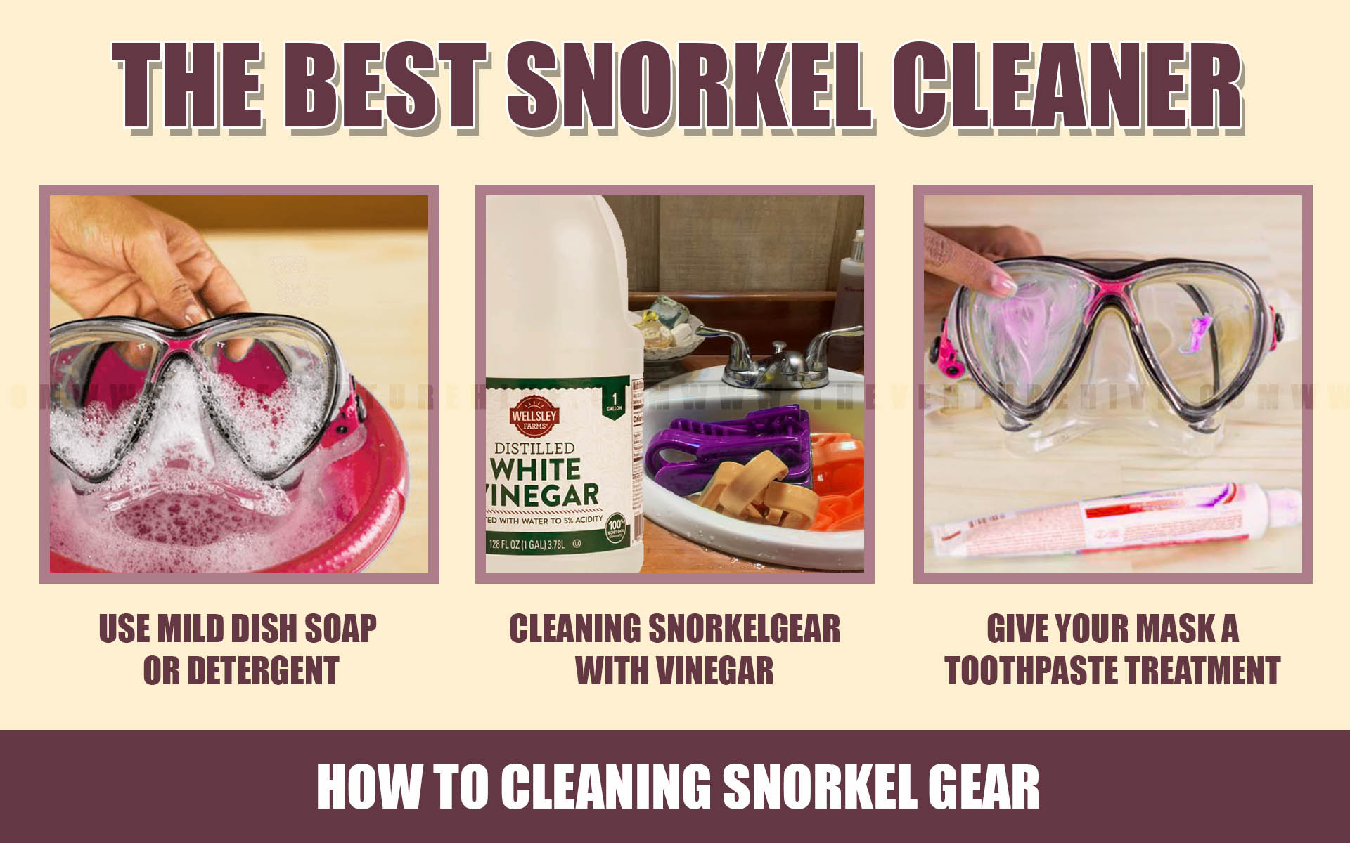 Cleaning Snorkel Gear Expert Tips for Cleaning and Storing Your Snorkel Gear Properly 4
