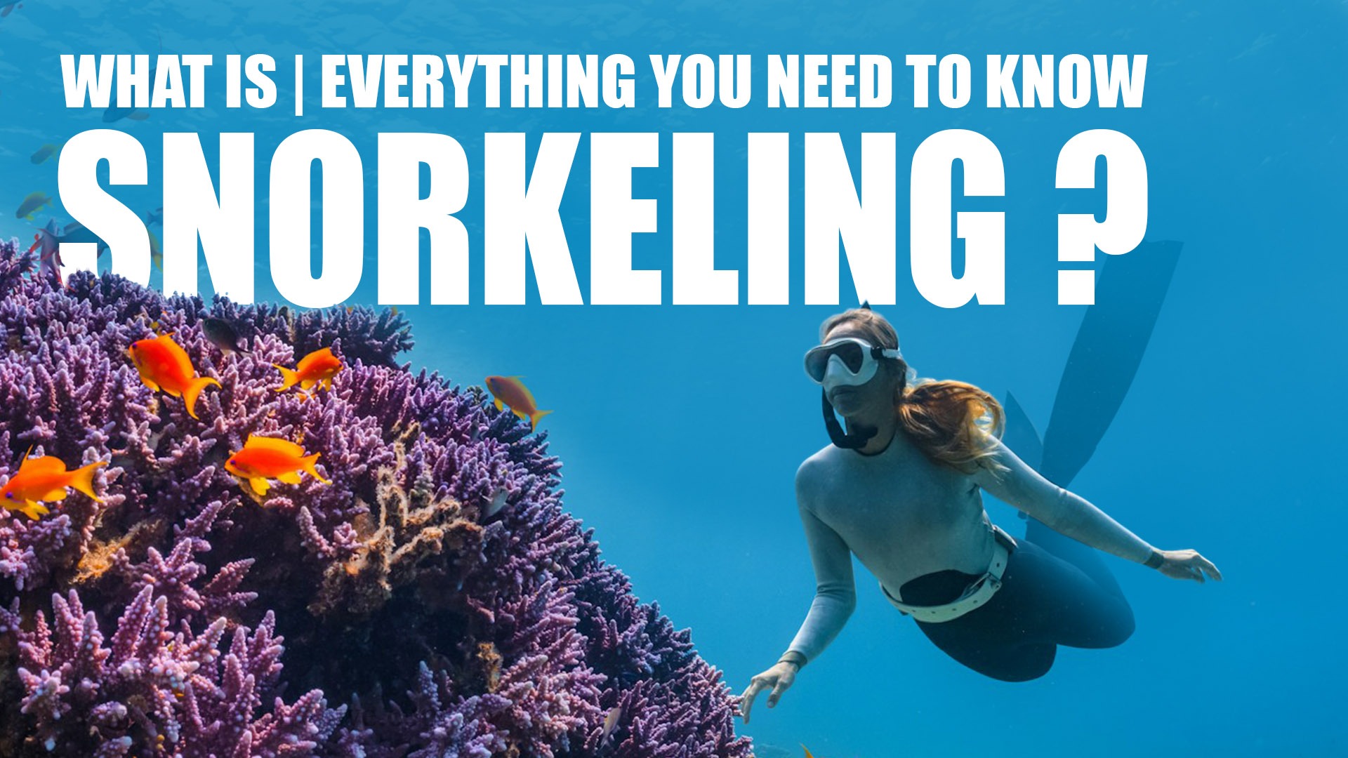 what is snorkeling 1