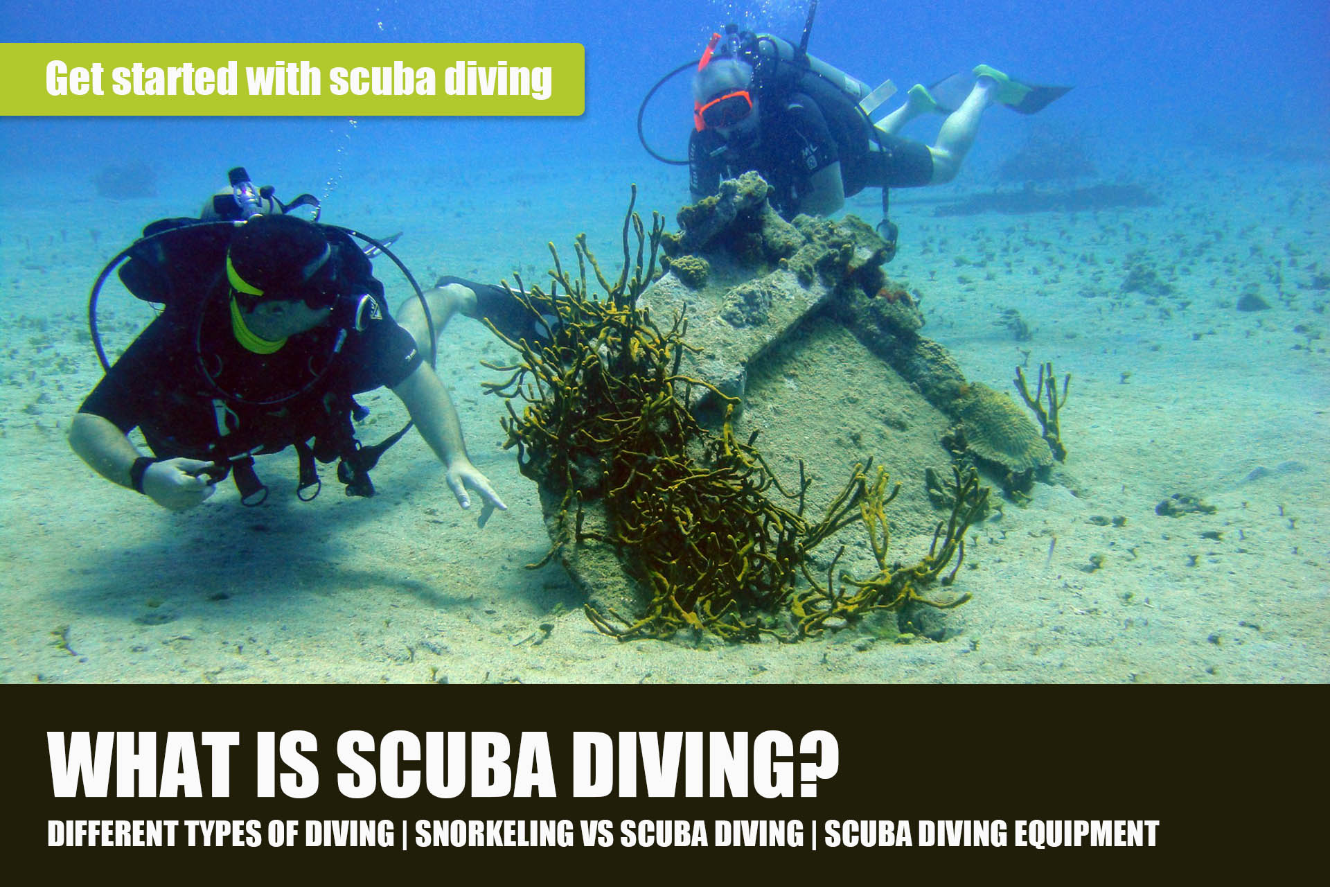 What Is Scuba Diving